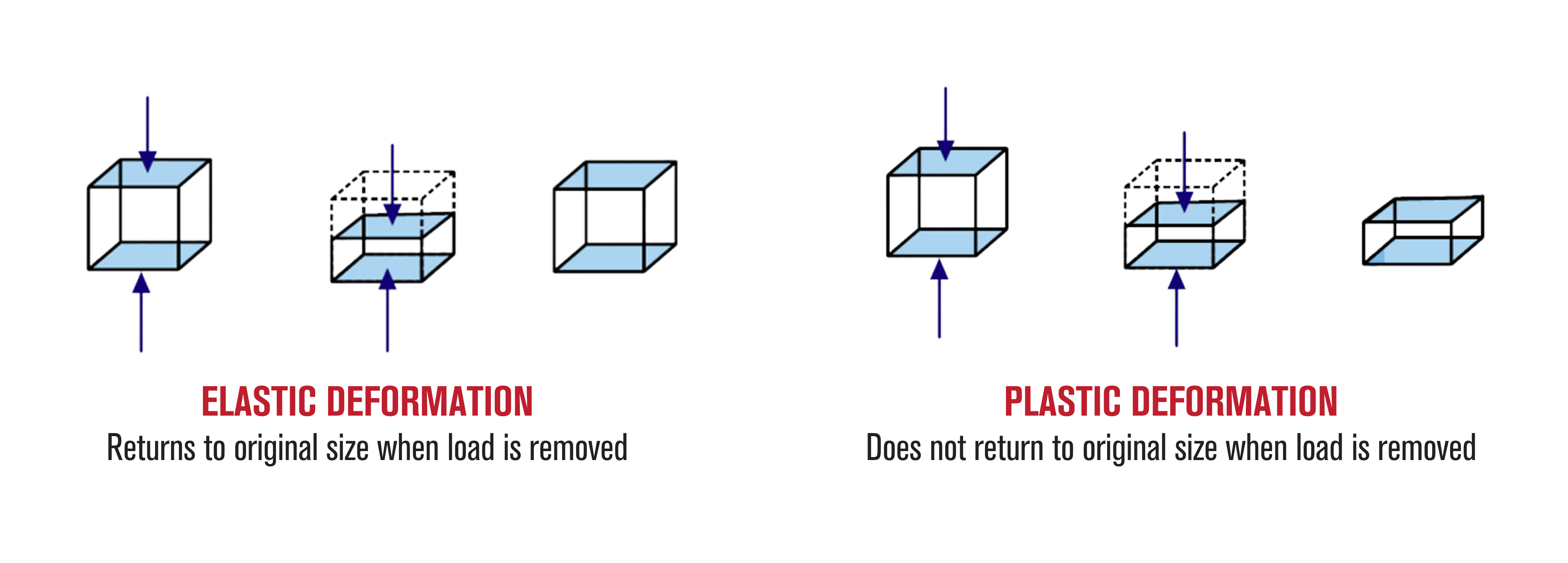 Do You Know AMP 4