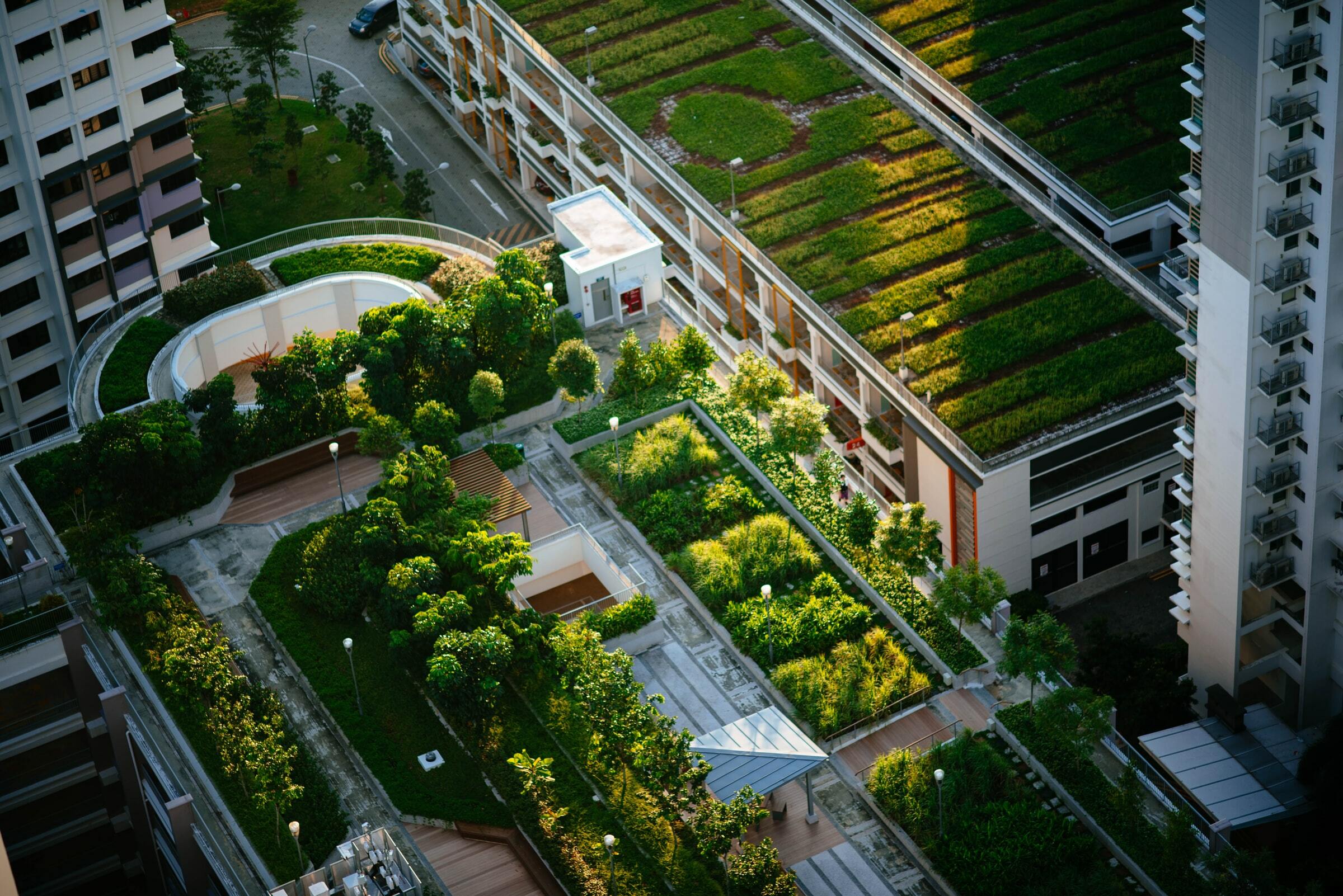 An aerial view of two green roofs in a city.
